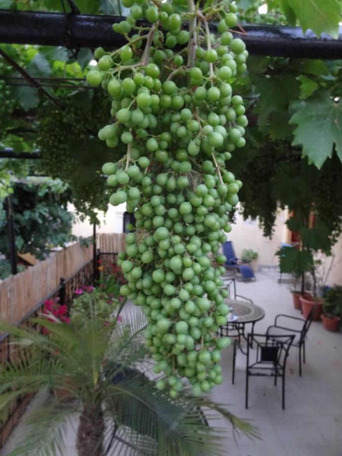 House Klimataria Kamilari Villa Dış mekan fotoğraf